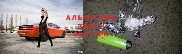 ГАЛЛЮЦИНОГЕННЫЕ ГРИБЫ Коряжма