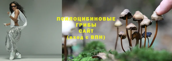 дурь Корсаков