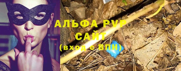 кокс Козельск