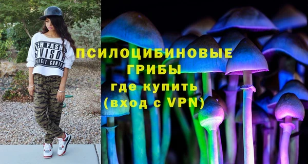 ГАЛЛЮЦИНОГЕННЫЕ ГРИБЫ Кодинск