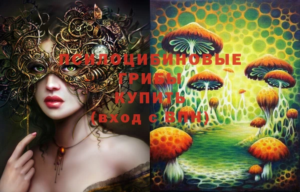 дурь Корсаков