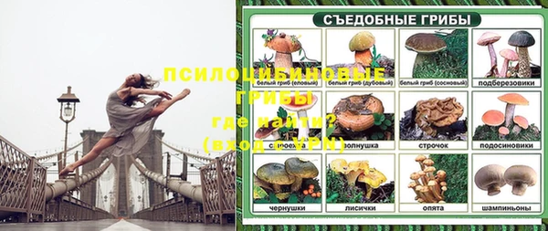 ГАЛЛЮЦИНОГЕННЫЕ ГРИБЫ Коряжма