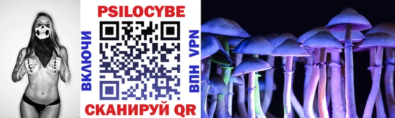Купить закладки  Коркино  Псилоцибиновые грибы Cubensis 